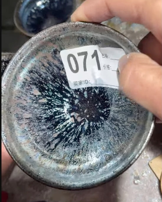 Today’s Live Selection-2026-03-01