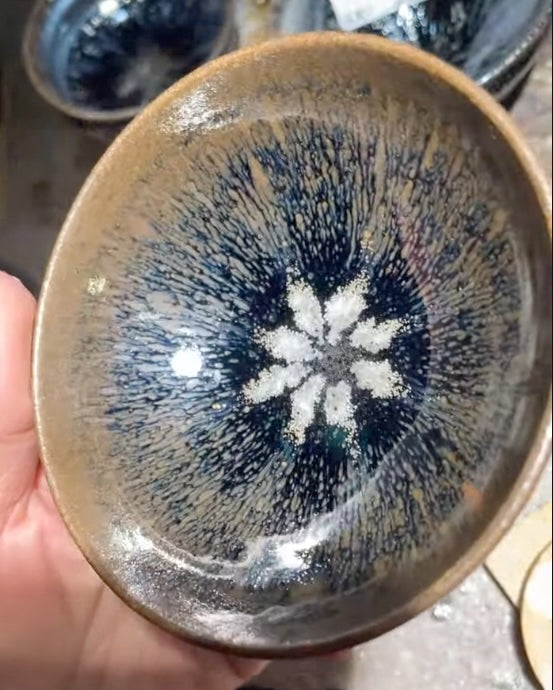 Today’s Live Selection-2026-03-01