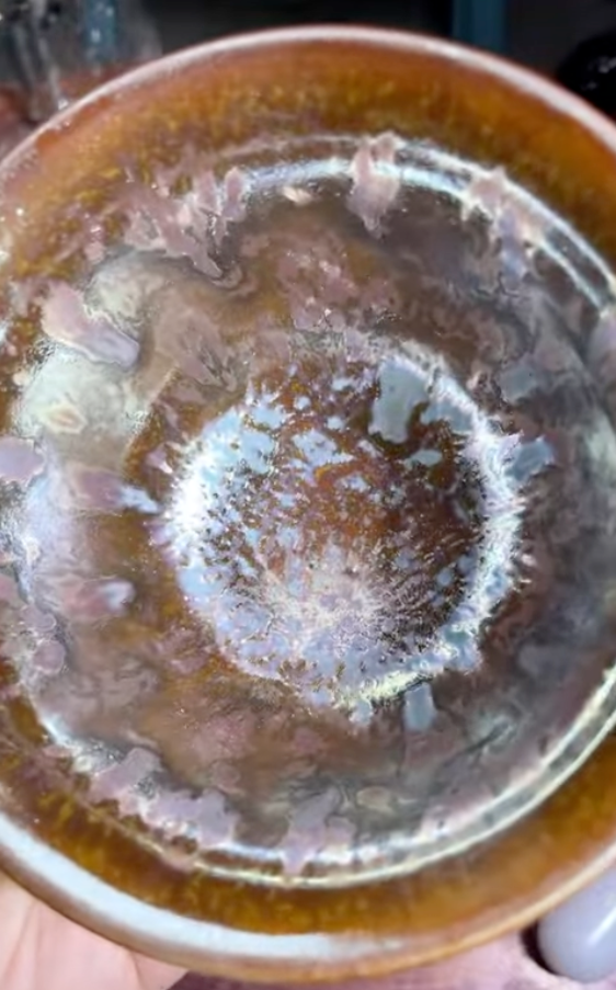 Today’s Live Selection-2026-04-19