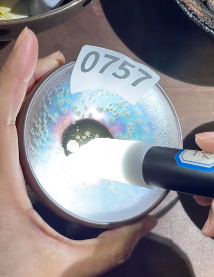 Today’s Live Selection-2026-02-25