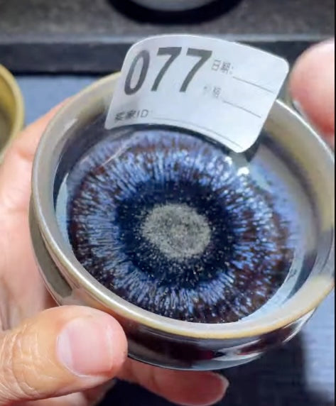 Today’s Live Selection-2026-03-01