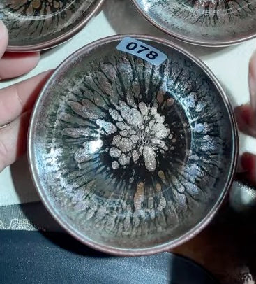 Today’s Live Selection-2026-02-26