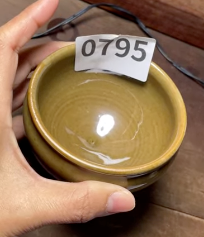 Today’s Live Selection - 2026-02-21