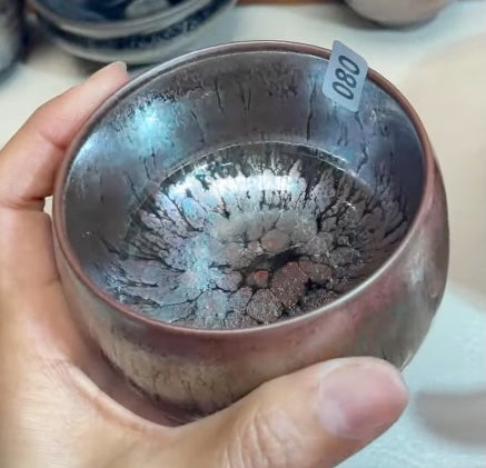 Today’s Live Selection-2026-02-26