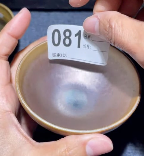 Today’s Live Selection-2026-03-01