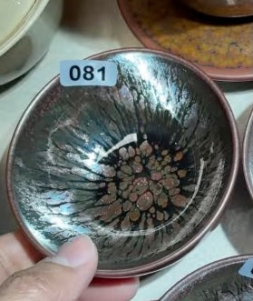 Today’s Live Selection-2026-02-26