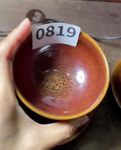 Today’s Live Selection - 2026-02-21