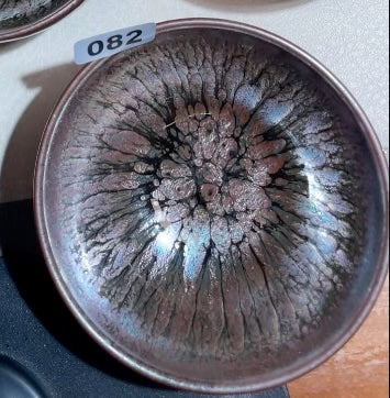 Today’s Live Selection-2026-02-26