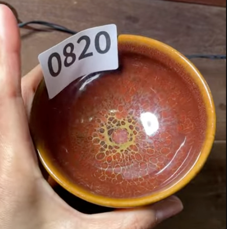 Today’s Live Selection - 2026-02-21