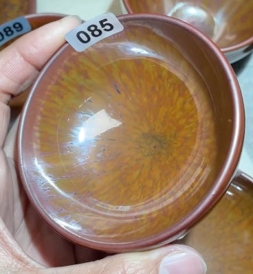 Today’s Live Selection-2026-02-26