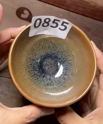 Today’s Live Selection - 2026-02-21