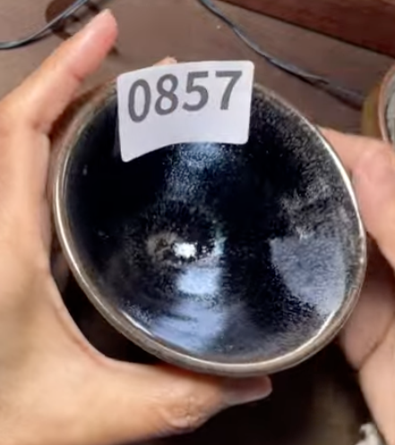 Today’s Live Selection - 2026-02-21