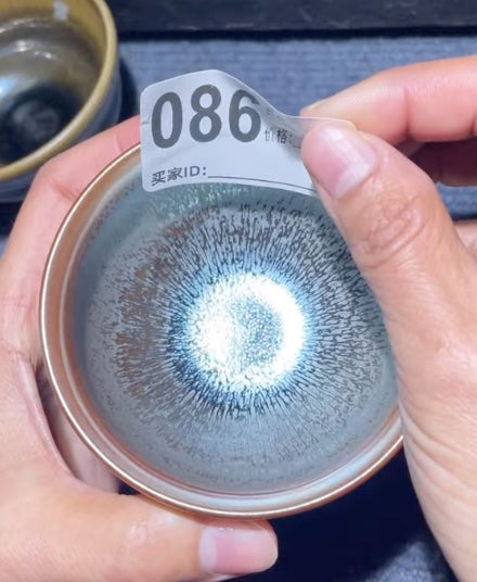 Today’s Live Selection-2026-03-01