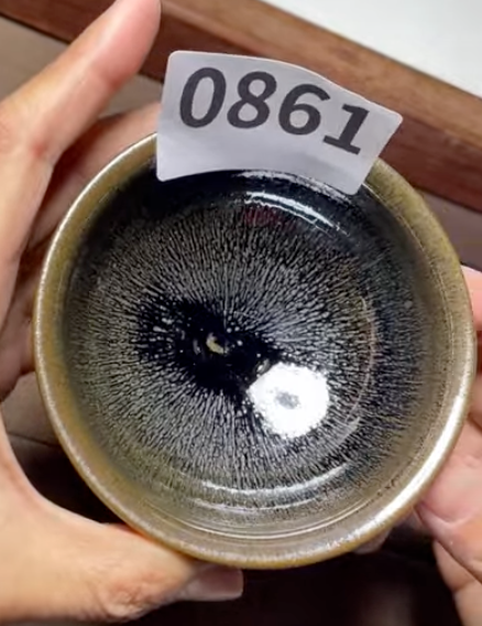 Today’s Live Selection - 2026-02-21