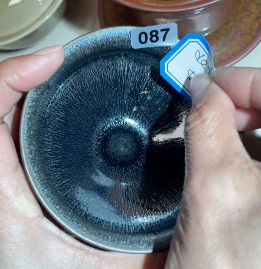 Today’s Live Selection-2026-02-26