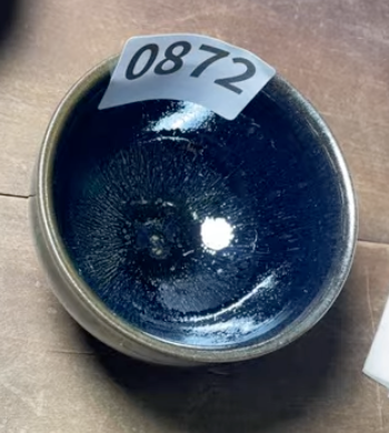 Today’s Live Selection - 2026-02-21