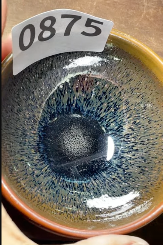 Today’s Live Selection - 2026-02-21