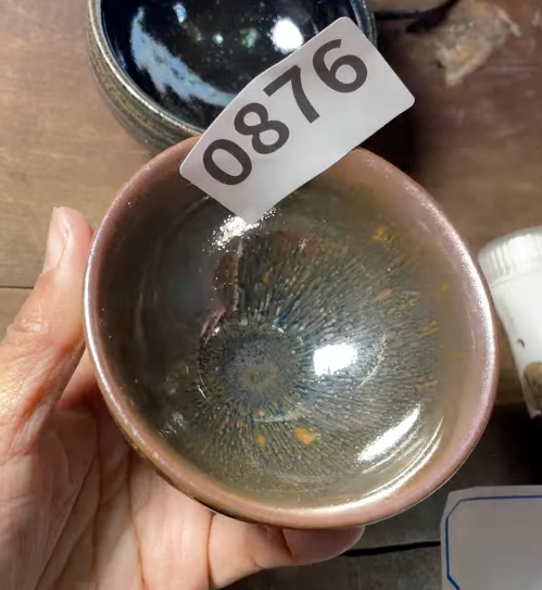 Today’s Live Selection - 2026-02-21