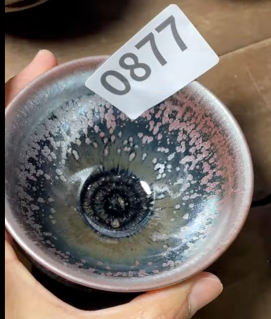 Today’s Live Selection - 2026-02-21