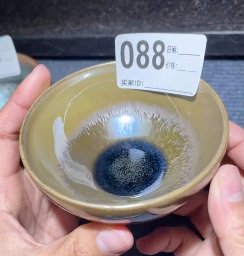 Today’s Live Selection-2026-03-01