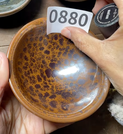 Today’s Live Selection - 2026-02-21