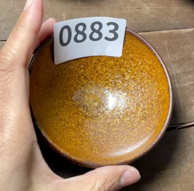 Today’s Live Selection - 2026-02-21