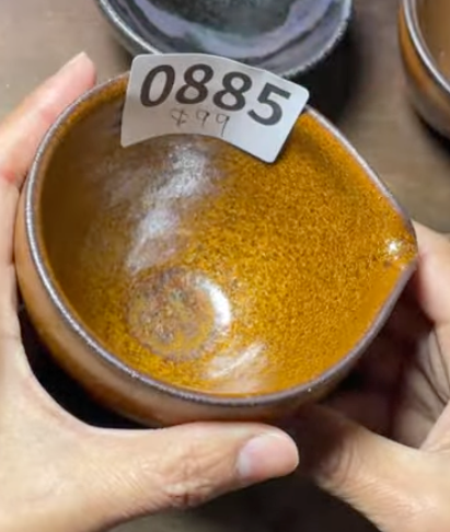 Today’s Live Selection - 2026-02-21