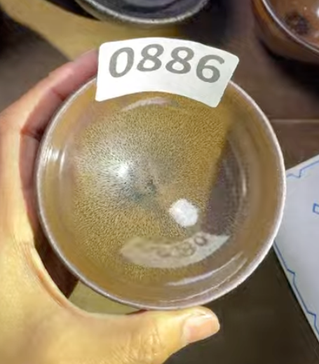 Today’s Live Selection - 2026-02-21