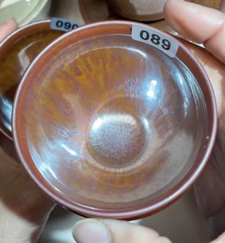 Today’s Live Selection-2026-02-26