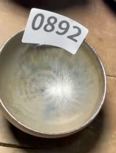 Today’s Live Selection - 2026-02-21