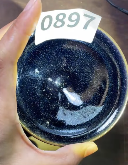 Today’s Live Selection - 2026-02-21