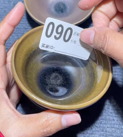 Today’s Live Selection-2026-03-01