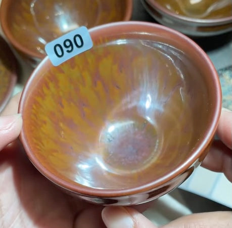 Today’s Live Selection-2026-02-26