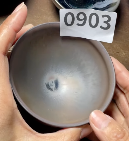 Today’s Live Selection - 2026-02-21