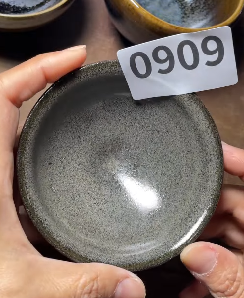 Today’s Live Selection - 2026-02-21