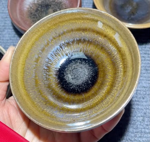 Today’s Live Selection-2026-03-01