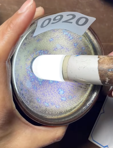 Today’s Live Selection - 2026-02-21