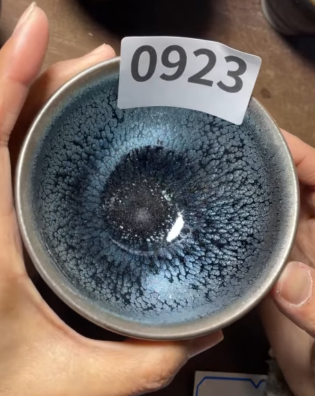 Today’s Live Selection - 2026-02-21