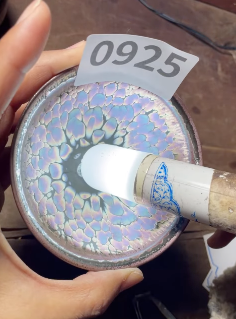 Today’s Live Selection - 2026-02-21