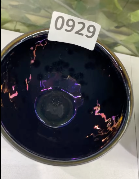 Today’s Live Selection - 2026-02-21