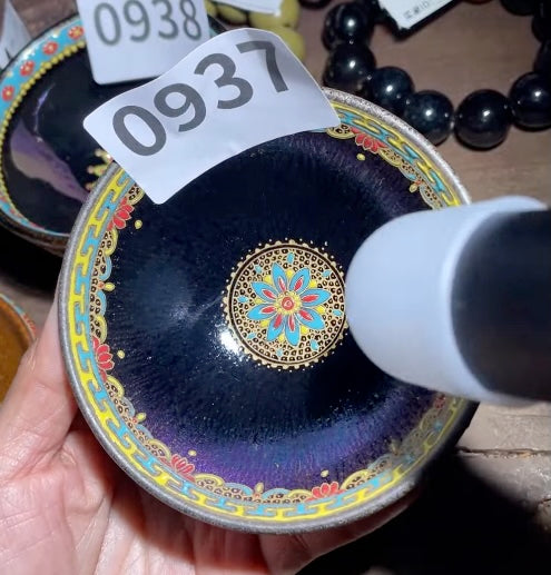 Today’s Live Selection-2026-02-28