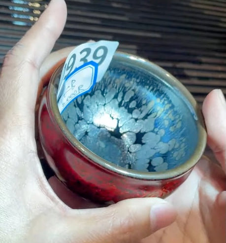 Today’s Live Selection