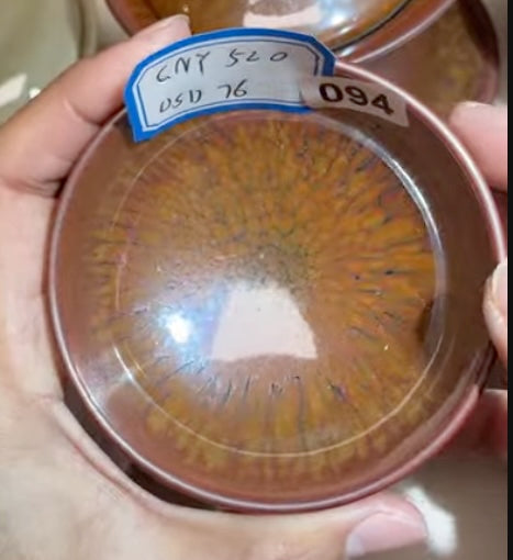 Today’s Live Selection-2026-02-26