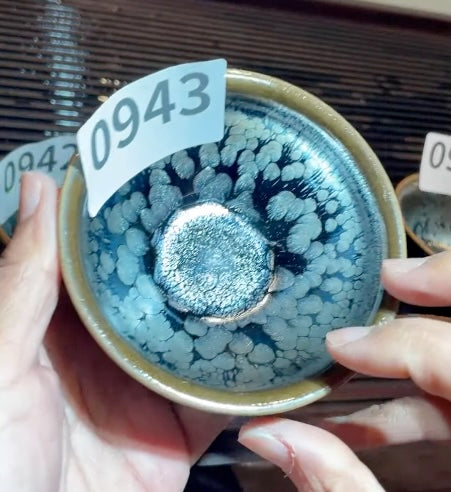 Today’s Live Selection - 2026-02-22