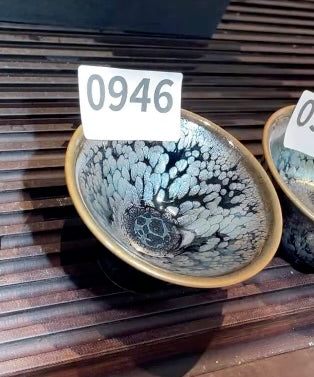 Today’s Live Selection - 2026-02-22