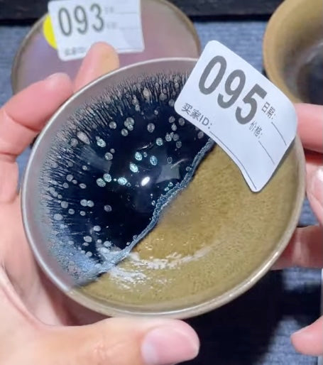 Today’s Live Selection-2026-03-01