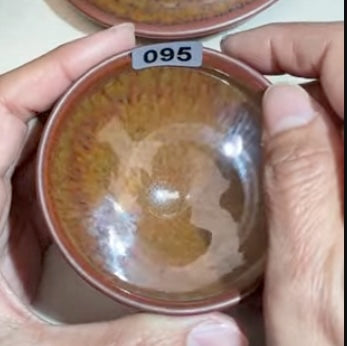 Today’s Live Selection-2026-02-26