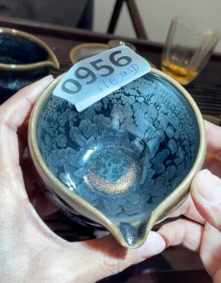 Today’s Live Selection - 2026-02-22