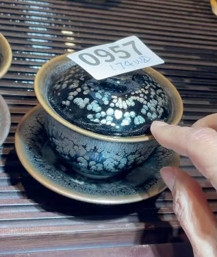 Today’s Live Selection - 2026-02-22