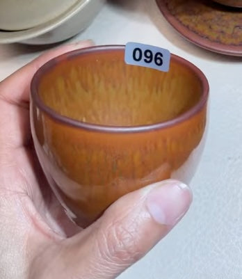 Today’s Live Selection-2026-02-26